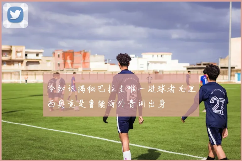 冷知识揭秘巴拉圭唯一进球者毛里西奥竟是鲁能海外青训出身