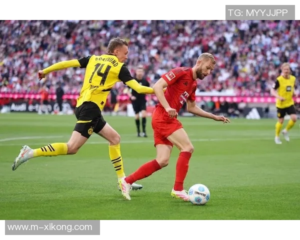 多特中场格罗斯完成体检即将正式回归布莱顿队